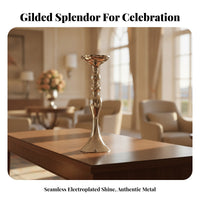 Elegant Display Pedestal Stand