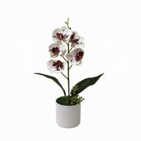 Phalaenopsis Flower Arrangement Real Touch Artificial Flower 33 Cm Tall