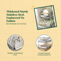 Stainless Steel Pull-Out Dish Rack