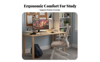 Ergonomic rotating Chair Rolling Casters Mesh posterior Task Chair Easy Assembly