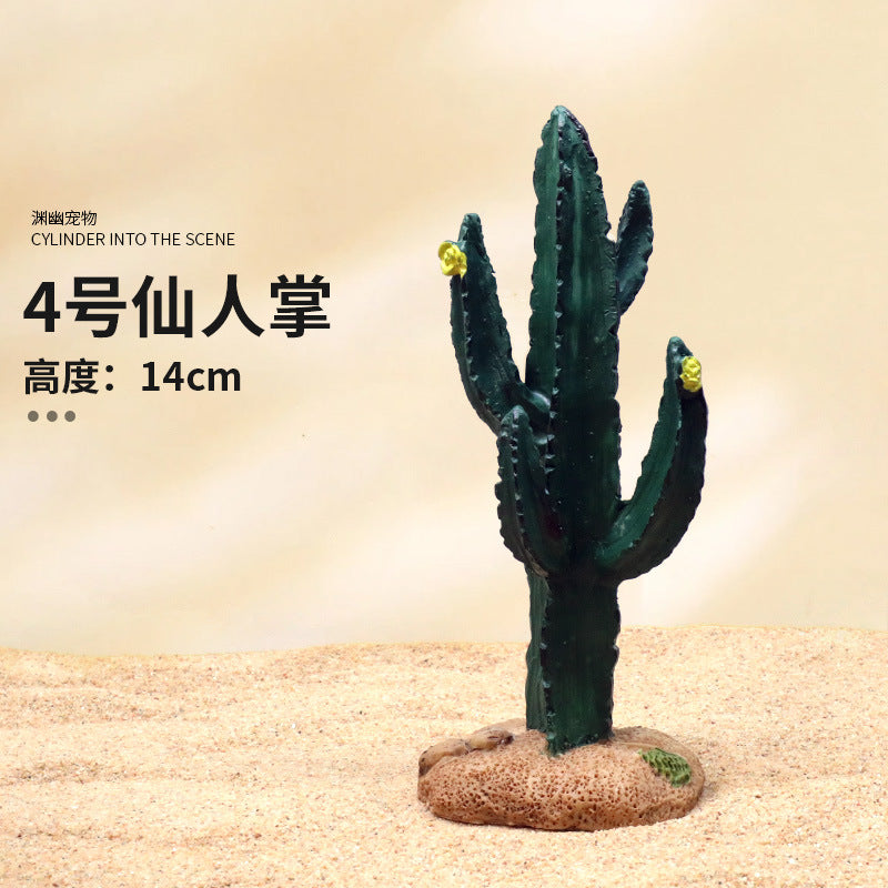 No 4 Cactus