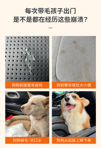 Car Pet Mat for Front Passenger Seat, Thickened, Waterproof, Anti-Dirt, Oxford Cloth, Gray