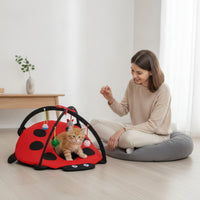 Ladybug Pet Tent Interactive Cat Playhouse Compact for Cats, Kittens