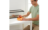 Maple Foliage Pet Bowl Easy to Clean Foliage Shaped Feeding Bowl Gecko Feeding Tray Sleek Surface Amphibian Food Plate