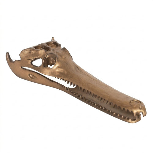 Skull Ornament Sculptural Skull Realistic for Display Shelf