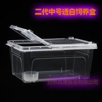 Upgraded Medium Breeding Box for Reptiles and Insects