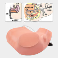高级妇科训练模型