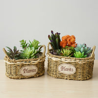 Plant Pots with Plastic Liner, Grass Woven Gift Basket for a Flower Girl, Rural Style Storage Basket with Handle, Paper Rope Flower Pots Decor
