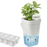 Self-Watering Plant Pot with Tray, Plastic, for Succulents and Seedlings