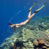Odorless Silicone Snorkel for Diving and Snorkeling