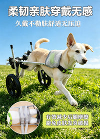 宠物轮椅瘫痪后腿助力车猫狗康复辅助车后肢推车助行车跨境代发XJ