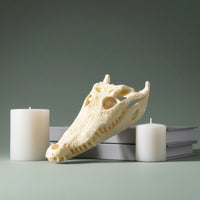 Resin Crocodile Skull Ornament Bone-Like Crocodile Skull Tabletop Sculpture Classy-Looking for Collectors, Decorators, Living Room, Study, Tea Table