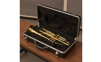 Standard Bb Trumpet Gold-Plated Trumpet with Hard Case and Mouthpiece Golden Polished for Beginners