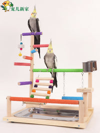 Parrot Frosted Perch with Ladder, Swing, and Chew Toy for Climbing