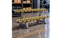 Two-Tier 10-Pair Dumbbell Rack Saddled Cradles Double-Layer Dumbbell Rack Angled Legs Fitness Storage Metal