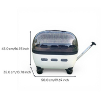 Expandable foldable pet carrier