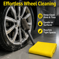 car cleaning kit