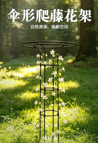 伞形植物花架月季金银花爬藤架铁线莲阳台户外庭院固定支撑杆
