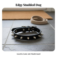 PU Leather Rivet Sturdy Studded Dog Adjustable for Young Dogs, Cat Owners, Daily Wear, Training, Outdoor Walks