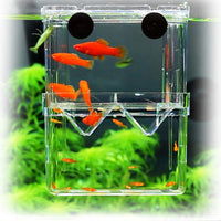 Acrylic Double-Layer Self-Floating Fish Fry Breeding Box Guppy Incubator Isolation Box Betta Fish Box