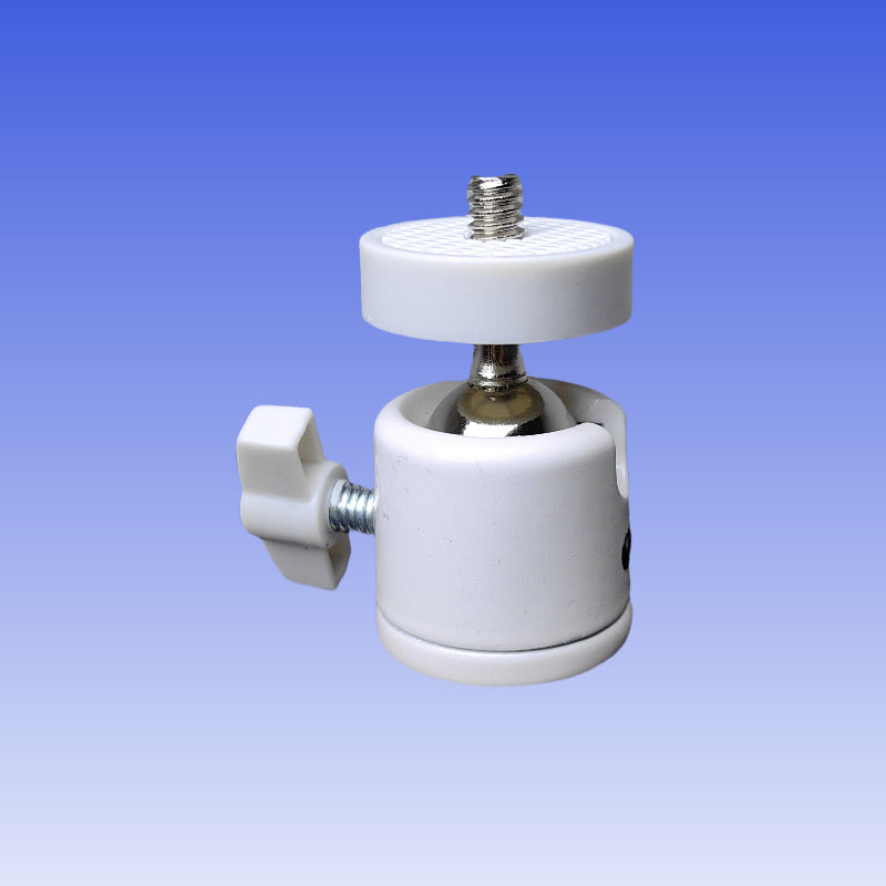 Wht Projection Head