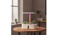 Countertop Hydroponic Planter with LED Grow Light Compact Hydroponic Planter Slimline Indoor Garden with Grow Light Transparent for Apartment Dwellers, Gardeners, Kitchen, Office, Windowsill