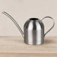 450ml Silver Mini Watering Can, Steel Indoor Watering Can with Ergonomic Grip, for Potted Plant & Houseplant Care