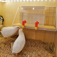 Spout Drinker for Chickens with Steel Ball Valve, Click-in Automatic Water Spout, Watertight Quail Drinker for Farm Fowl