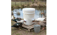 Automatic Chicken Feeder Easy to Install Automatic Poultry Feeder Outdoor