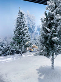 人造雪粉圣诞仿真雪花假雪道具雪景拍摄布置干雪假雪兑水人造雪花 【兑水款】雪粉500克