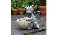 Dragon Planter Decorative Ornament Young Dragon Statue Pot Fantasy Theme Resin Pot for Balcony, Patio, Desktop