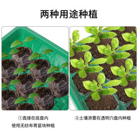 高盖大号育苗箱透气型两件套育苗种植移栽多功能多肉播种育苗专用
