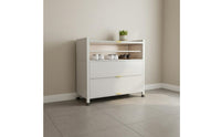 Steel Shoe Storage Cabinet Space Saving Tipping Bucket Footwear Storage Unit Adjustable Shelves for Hallway