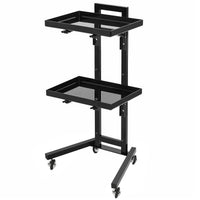 Stainless Steel Hairdressing Cart, Multifunctional Folding Movable for Cutting, Dyeing, Perming, Barber Shop Tool Cart, Salon Special