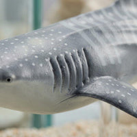 Realistic Marine Mammal Figure Figurine Educational Marine Mammal Figure