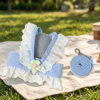 Walking Harness and Leash Set, Lace Dress for Small Medium Pets, Non-Retractable Walking Set for Small Pets
