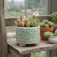 Indoor Plant Pot for Outdoor Plants and Home Office, Small Plant Pot for a Mini Succulent, Semi-Handmade Ceramic Planter with a Footed Base