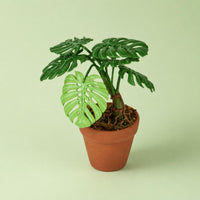 Mini Monstera Plant 1:12 Scale House Decor Textured