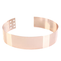 Women's Metallic Mirror Plate Belt for Dresses and Coats