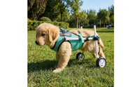 Lightweight Adjustable Dog Wheelchair Aluminum Alloy Hind Leg Wheelchair Mesh Textile Hind Leg Support Carriage Rehabilitation