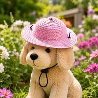 Cat Straw Hat, Adjustable Pet Sun Hat with Chin Strap, Perfect for Birthday Parties and Vacations, Bright Red, 10-60cm
