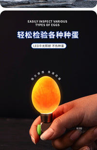 鸟用照蛋神器养殖鹦鹉手电筒鹦鹉芦丁鸡照蛋灯孵化专用LED冷光