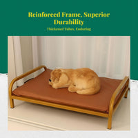 Gnaw-resistant Dog Bed, Reinforced Pet Cot, intermediate Size, Water-Resistant, Easy to Clean, Comfortable, Non-Slip