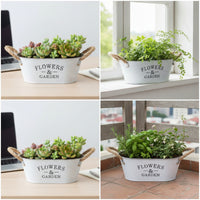 Galvanized Metal Planter with Rope Handles Vintage Oval Planter Rustic Flower Pot with Handles Farmhouse for Tabletop, Windowsill, Shelf