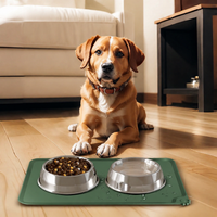 pet feeding mat