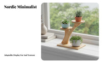 Multi-Level Succulent Rack Staggered Levels Multi-Tier Tabletop Stand for Desk