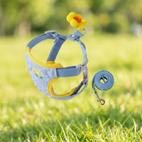 Small Dog Harness and Cat Walking Set with Plaid Hat, 3-Piece Pet Walking Set for Outdoor Training, Non-Retractable Dog Walking Set for Gear
