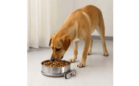 Stainless Steel Dog Bowl with Mounting Bracket Hanging Cage Bowl with Clamp Rust-Resistant Metal Feeder Dish Easy to Install for Dogs, Birds, Small Pets, Bird Cages