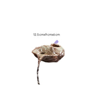 Eco Aquatic Aquarium Oxygenation Indoor Water Feature Natural Design for Balcony