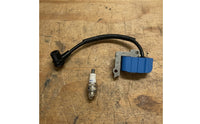 Ignition Coil Assembly Replacement Part for DIYers, Brushcutter Repair, Trimmer Maintenance